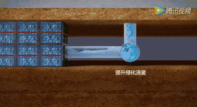 网友热议：大豆行情网免费网站大全，获取最新市场动态与价格信息的最佳选择！
