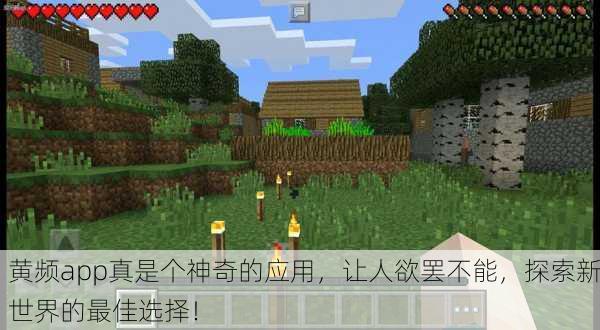 黄频app真是个神奇的应用，让人欲罢不能，探索新世界的最佳选择！