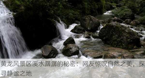 黄龙风景区溪水潺潺的秘密：网友惊叹自然之美，探寻静谧之地