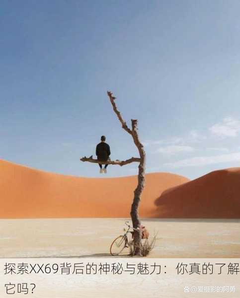 探索XX69背后的神秘与魅力：你真的了解它吗？