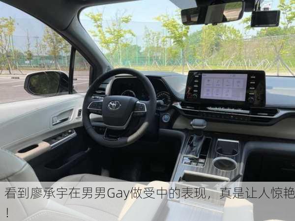 看到廖承宇在男男Gay做受中的表现，真是让人惊艳！