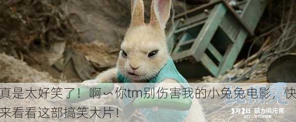 真是太好笑了！啊∽你tm别伤害我的小兔兔电影，快来看看这部搞笑大片！