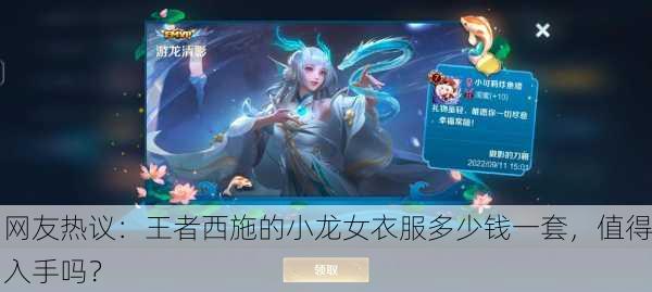 网友热议：王者西施的小龙女衣服多少钱一套，值得入手吗？