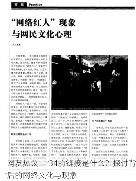 网友热议：r34的链接是什么？探讨背后的网络文化与现象