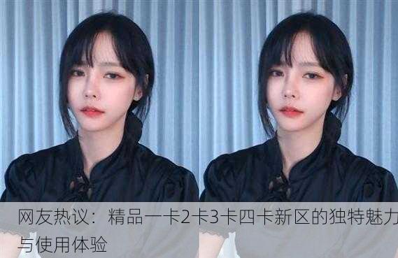 网友热议：精品一卡2卡3卡四卡新区的独特魅力与使用体验
