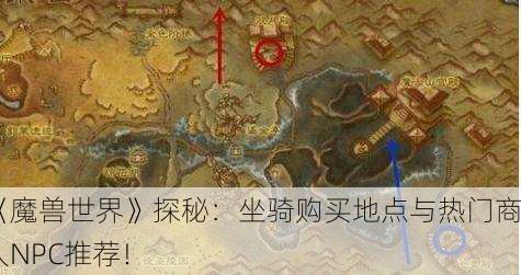 《魔兽世界》探秘：坐骑购买地点与热门商人NPC推荐！