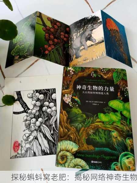探秘蝌蚪窝老肥：揭秘网络神奇生物