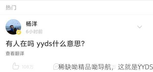 稀缺呦精品呦导航，这就是YYDS