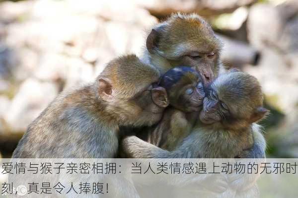 爱情与猴子亲密相拥：当人类情感遇上动物的无邪时刻，真是令人捧腹！