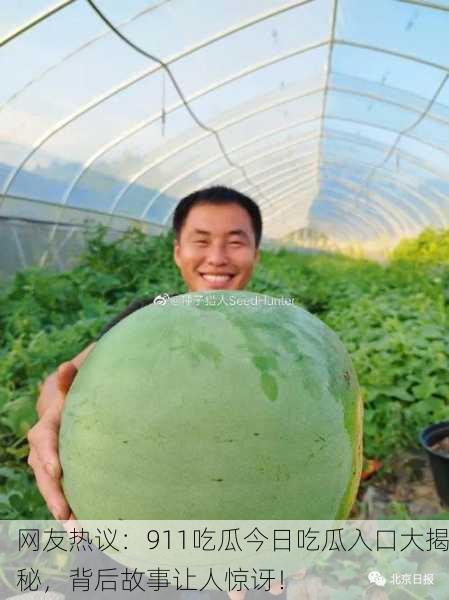 网友热议：911吃瓜今日吃瓜入口大揭秘，背后故事让人惊讶！