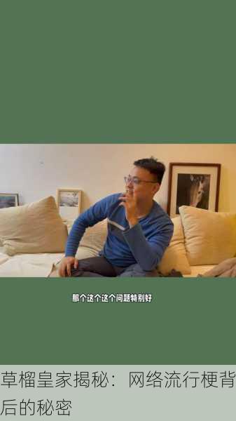草榴皇家揭秘：网络流行梗背后的秘密