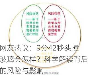 网友热议：9分42秒头撞玻璃会怎样？科学解读背后的风险与影响