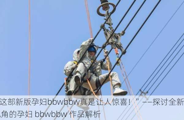 “这部新版孕妇bbwbbw真是让人惊喜！”——探讨全新视角的孕妇 bbwbbw 作品解析