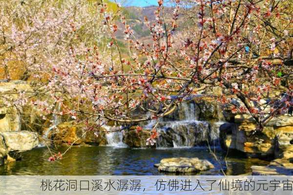 桃花洞口溪水潺潺，仿佛进入了仙境的元宇宙