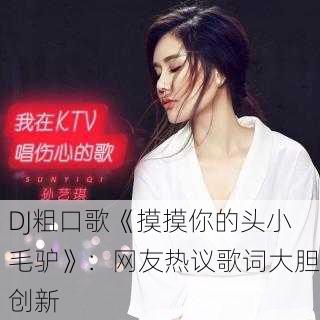 DJ粗口歌《摸摸你的头小毛驴》：网友热议歌词大胆创新