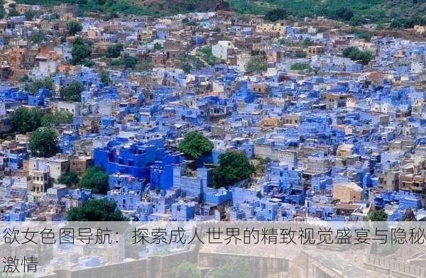欲女色图导航：探索成人世界的精致视觉盛宴与隐秘激情