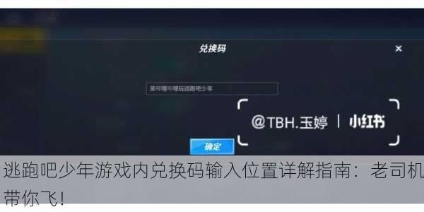 逃跑吧少年游戏内兑换码输入位置详解指南：老司机带你飞！