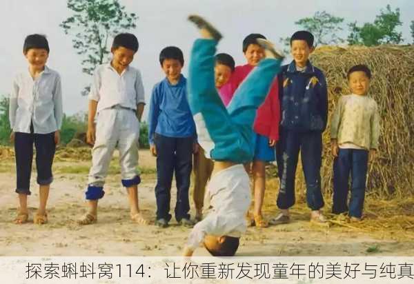 探索蝌蚪窝114：让你重新发现童年的美好与纯真