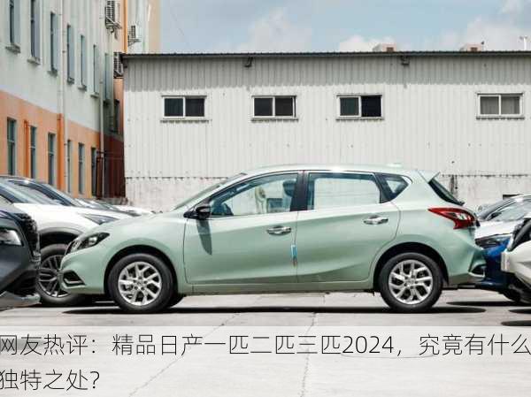 网友热评：精品日产一匹二匹三匹2024，究竟有什么独特之处？