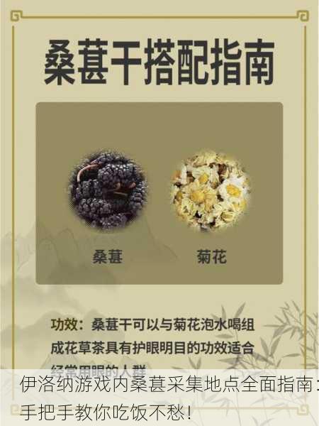 伊洛纳游戏内桑葚采集地点全面指南：手把手教你吃饭不愁！