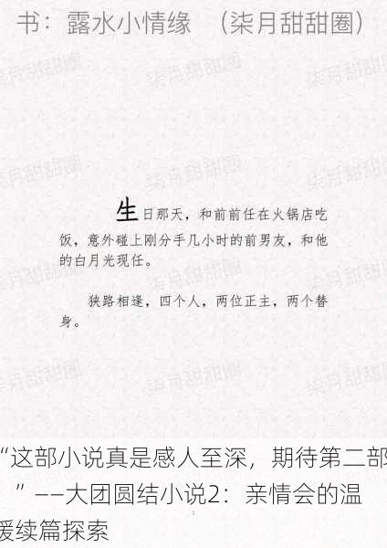 “这部小说真是感人至深，期待第二部！”——大团圆结小说2：亲情会的温暖续篇探索