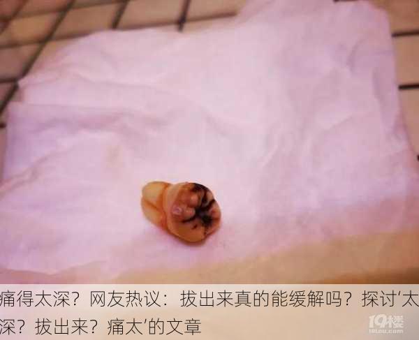 痛得太深？网友热议：拔出来真的能缓解吗？探讨‘太深？拔出来？痛太’的文章
