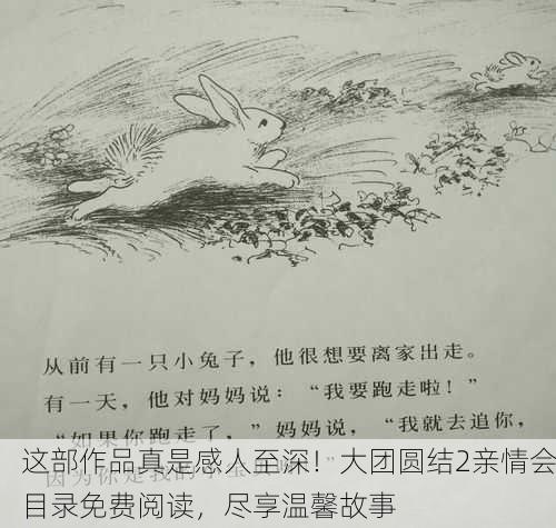 这部作品真是感人至深！大团圆结2亲情会目录免费阅读，尽享温馨故事