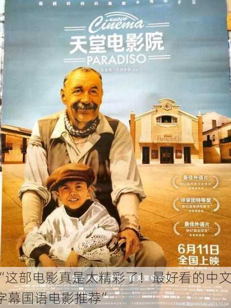 “这部电影真是太精彩了！最好看的中文字幕国语电影推荐”