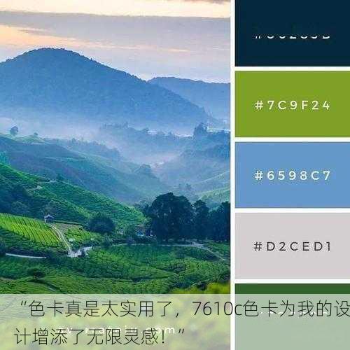 “色卡真是太实用了，7610c色卡为我的设计增添了无限灵感！”