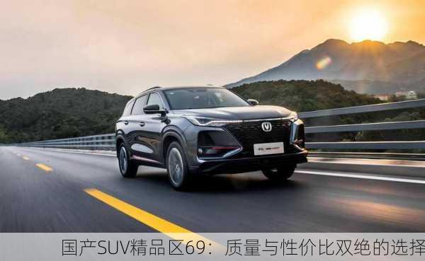 国产SUV精品区69：质量与性价比双绝的选择