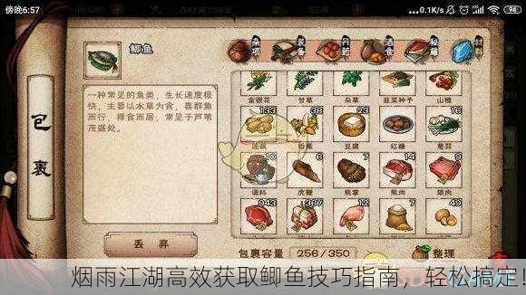 烟雨江湖高效获取鲫鱼技巧指南，轻松搞定！