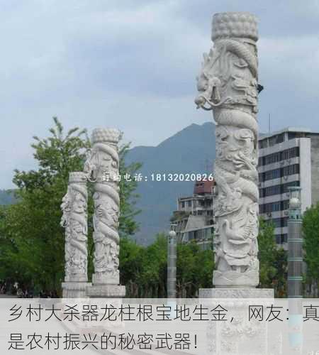 乡村大杀器龙柱根宝地生金，网友：真是农村振兴的秘密武器！
