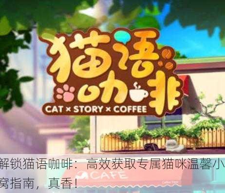解锁猫语咖啡：高效获取专属猫咪温馨小窝指南，真香！