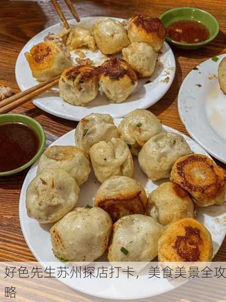好色先生苏州探店打卡，美食美景全攻略