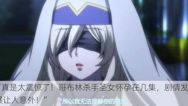 “真是太震惊了！哥布林杀手圣女怀孕在几集，剧情发展让人意外！”