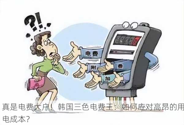 真是电费大户！韩国三色电费王：如何应对高昂的用电成本？