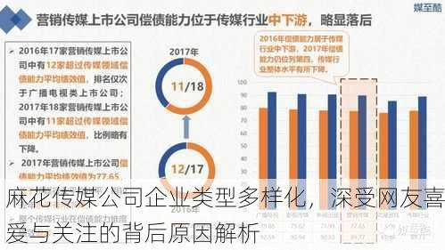 麻花传媒公司企业类型多样化，深受网友喜爱与关注的背后原因解析