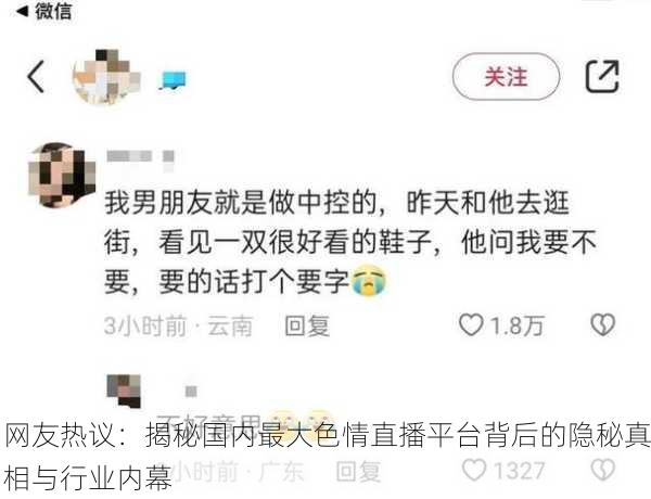 网友热议：揭秘国内最大色情直播平台背后的隐秘真相与行业内幕