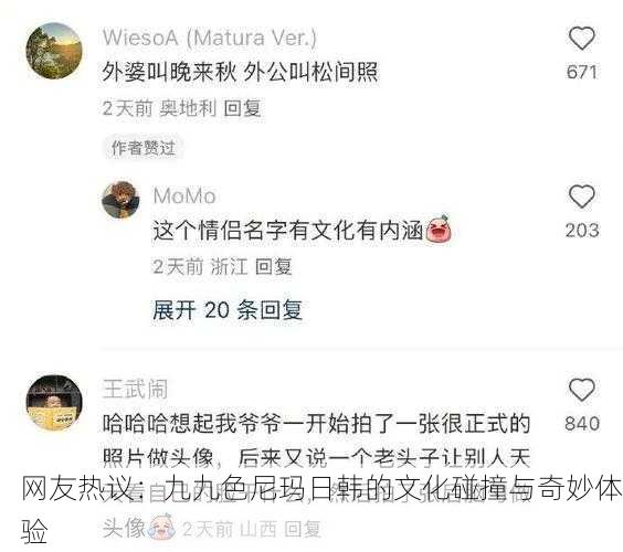 网友热议：九九色尼玛日韩的文化碰撞与奇妙体验