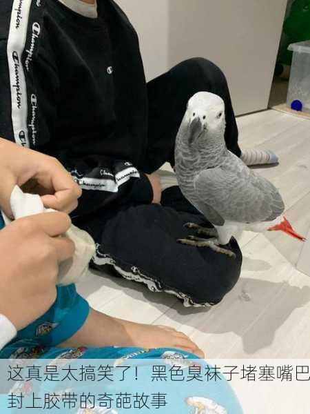 这真是太搞笑了！黑色臭袜子堵塞嘴巴封上胶带的奇葩故事