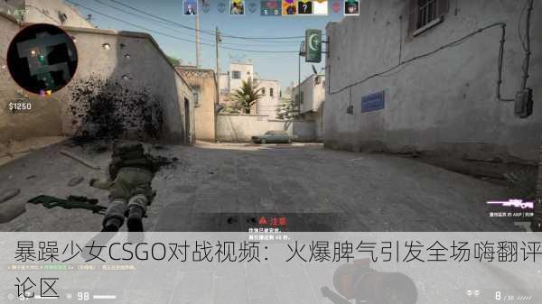暴躁少女CSGO对战视频：火爆脾气引发全场嗨翻评论区