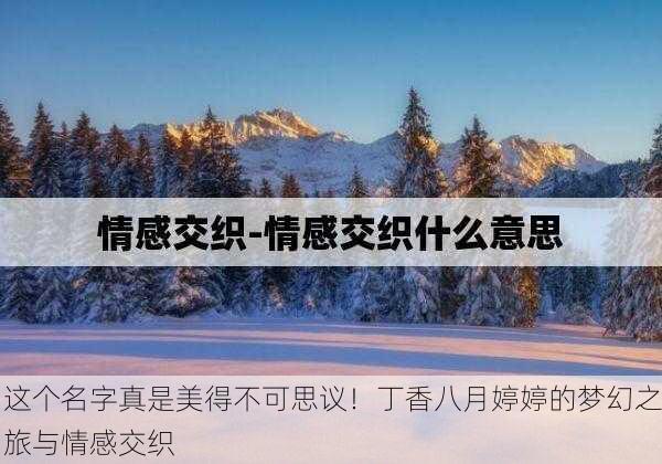 这个名字真是美得不可思议！丁香八月婷婷的梦幻之旅与情感交织