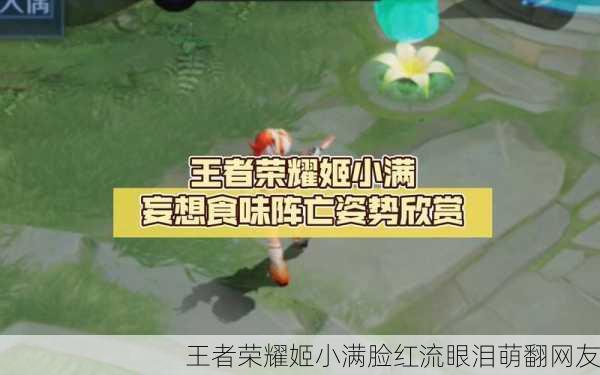 王者荣耀姬小满脸红流眼泪萌翻网友
