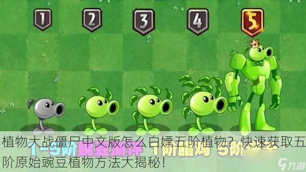 植物大战僵尸中文版怎么白嫖五阶植物？快速获取五阶原始豌豆植物方法大揭秘！