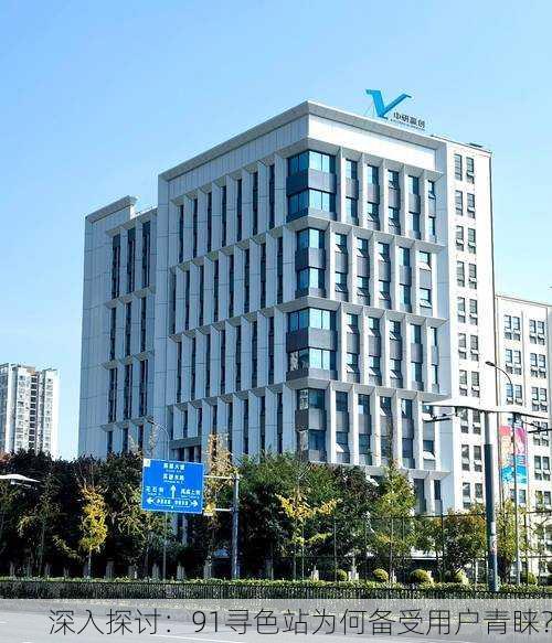 深入探讨：91寻色站为何备受用户青睐？