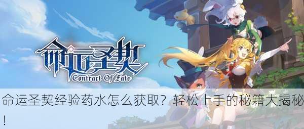 命运圣契经验药水怎么获取？轻松上手的秘籍大揭秘！