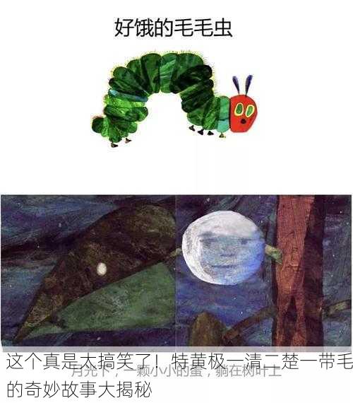 这个真是太搞笑了！特黄极一清二楚一带毛的奇妙故事大揭秘