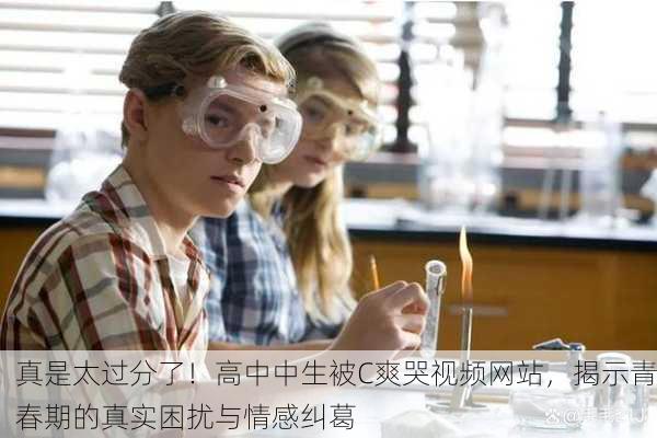 真是太过分了！高中中生被C爽哭视频网站，揭示青春期的真实困扰与情感纠葛