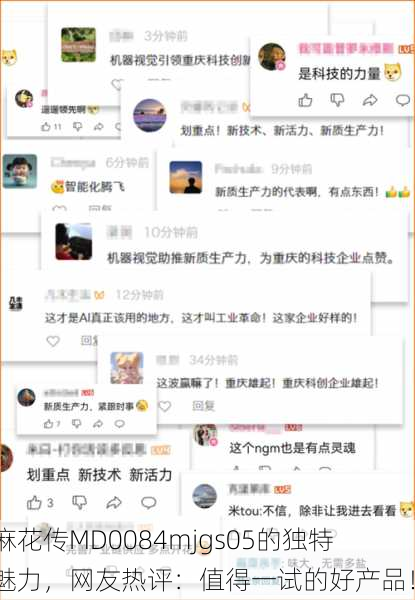 麻花传MD0084mjgs05的独特魅力，网友热评：值得一试的好产品！