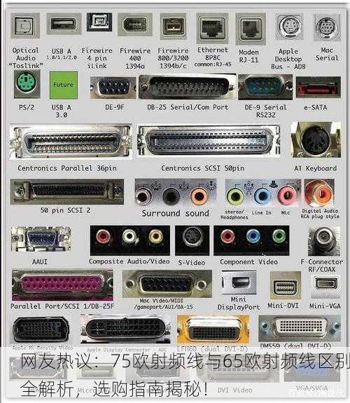 网友热议：75欧射频线与65欧射频线区别全解析，选购指南揭秘！